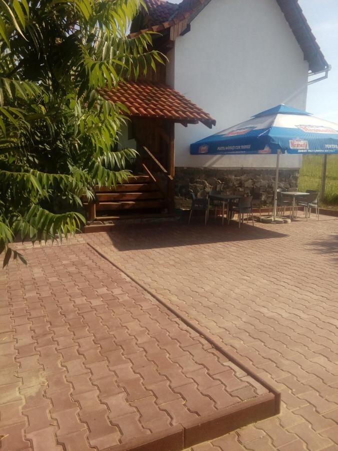Vila Sura Razoare ซิวิโชอารา ภายนอก รูปภาพ