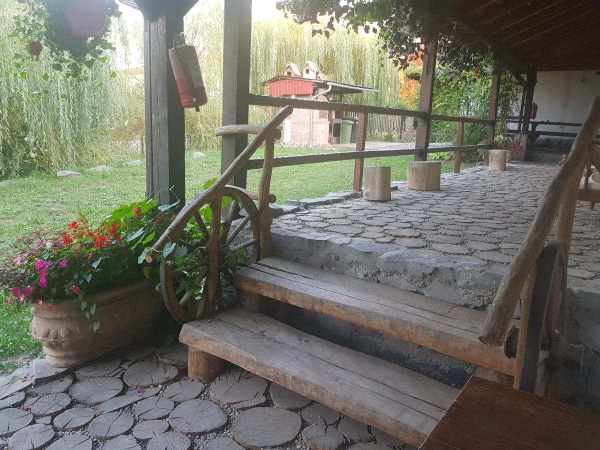 Vila Sura Razoare ซิวิโชอารา ภายนอก รูปภาพ