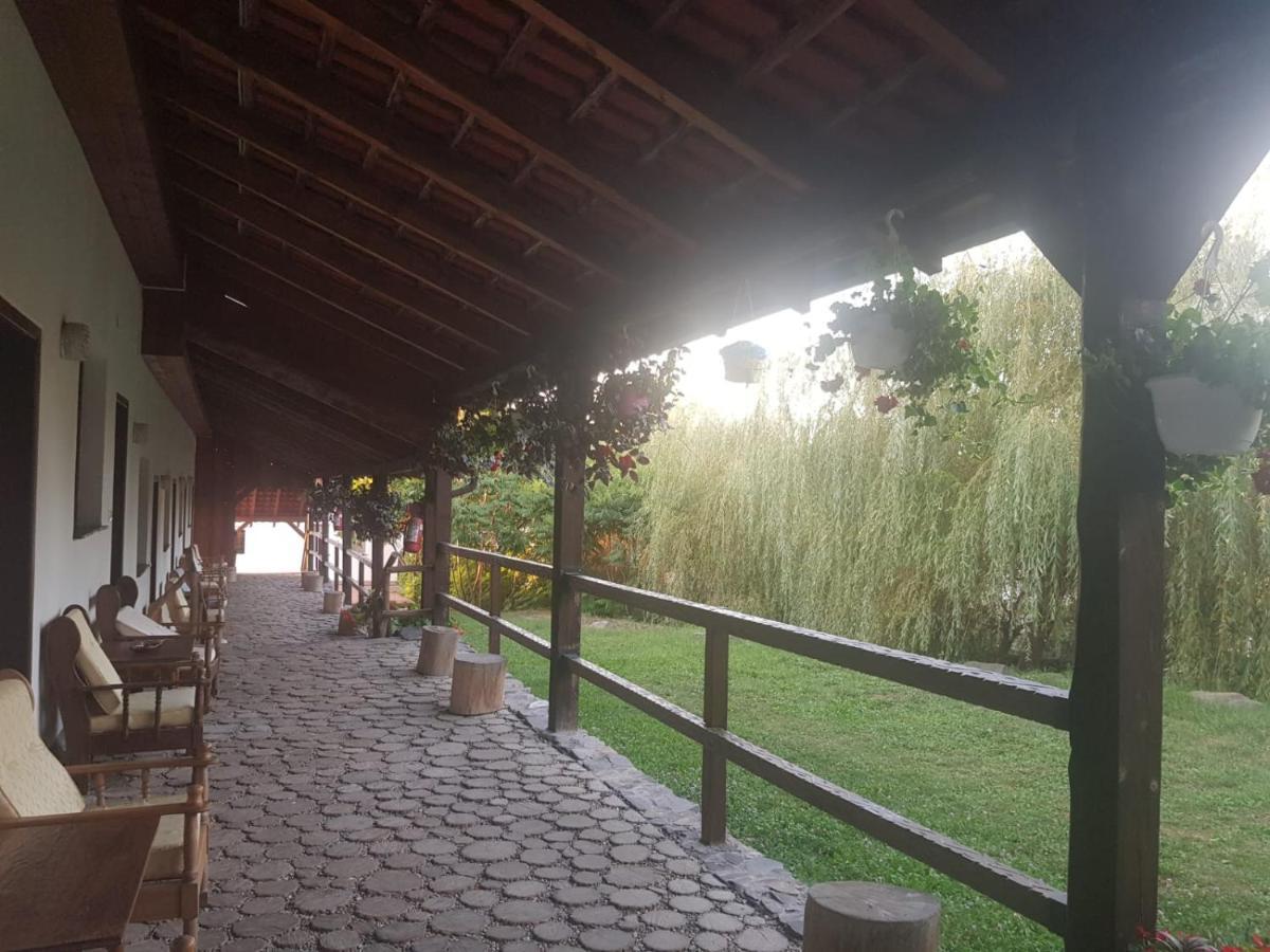 Vila Sura Razoare ซิวิโชอารา ภายนอก รูปภาพ