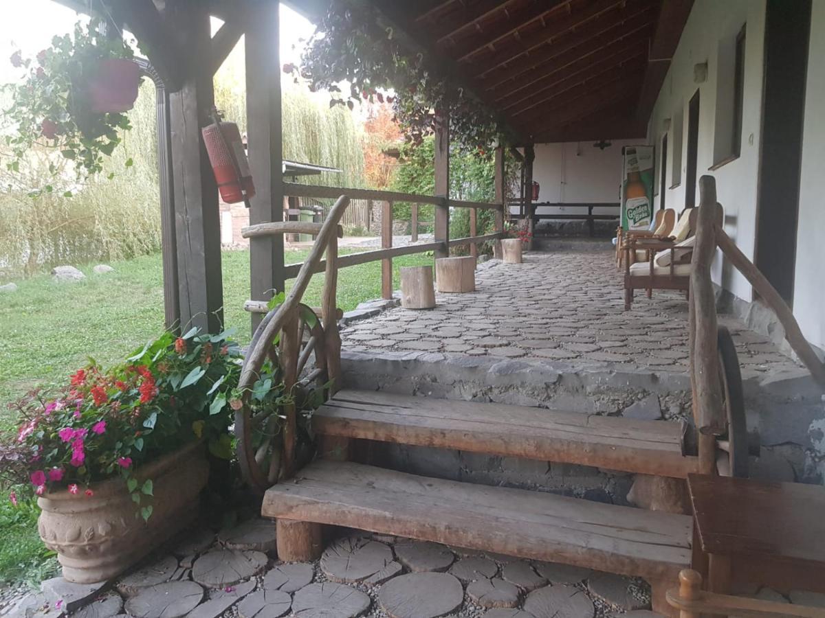 Vila Sura Razoare ซิวิโชอารา ภายนอก รูปภาพ
