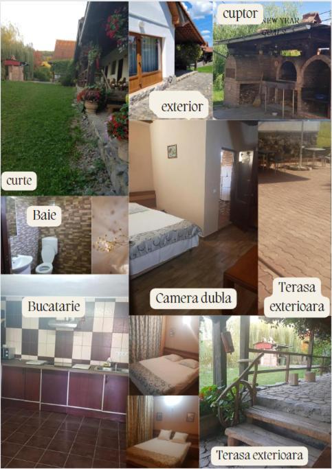 Vila Sura Razoare ซิวิโชอารา ภายนอก รูปภาพ