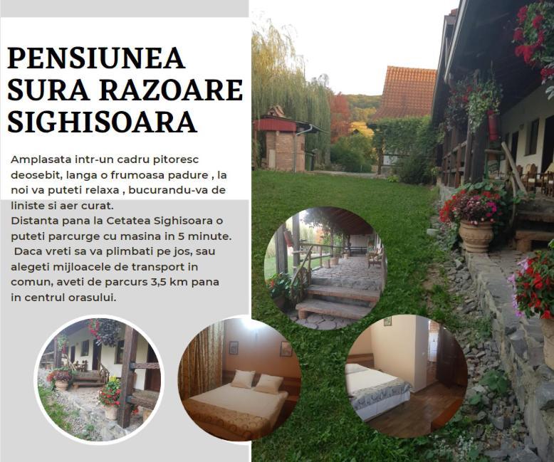 Vila Sura Razoare ซิวิโชอารา ภายนอก รูปภาพ