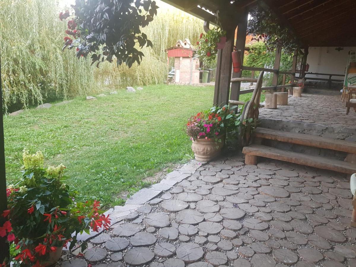Vila Sura Razoare ซิวิโชอารา ภายนอก รูปภาพ