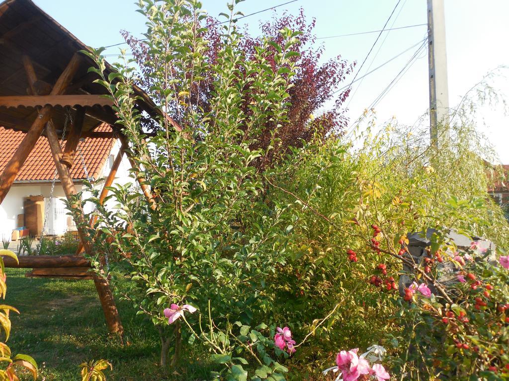 Vila Sura Razoare ซิวิโชอารา ภายนอก รูปภาพ